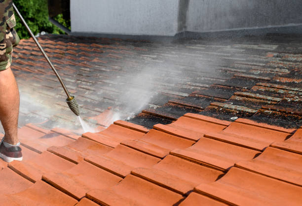 Best House Pressure Washing  in Eastpointe, MI