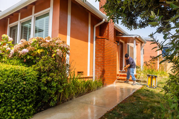 Best Exterior Home Cleaning  in Eastpointe, MI