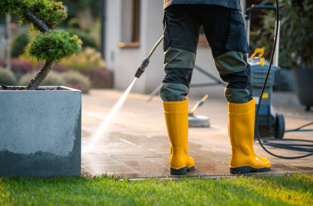 Best Commercial Building Pressure Washing  in Eastpointe, MI